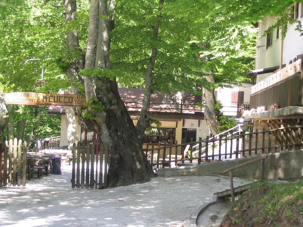 Albergo Ristorante Montecucco Da Tobia Sigillo Exteriér fotografie